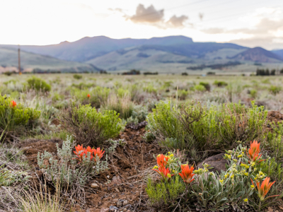 11 Antelope - Brooke Ashlee Photograpy-10